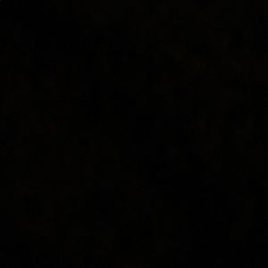 Meet your Posher, Diego